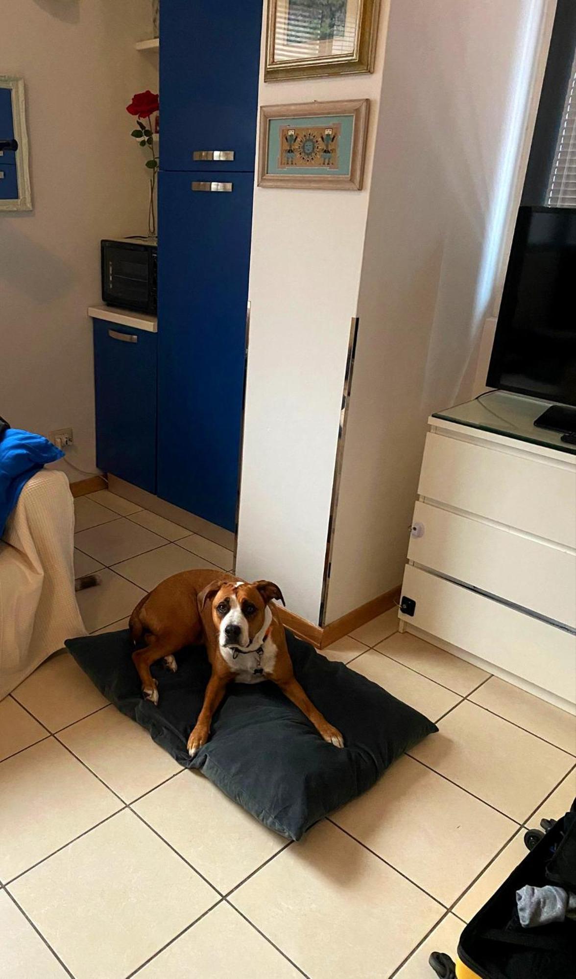 Gemme Fiorentine Apartments In Front Of The Train Station 5 Minutes From The Centre Free Parking Firenze Kültér fotó