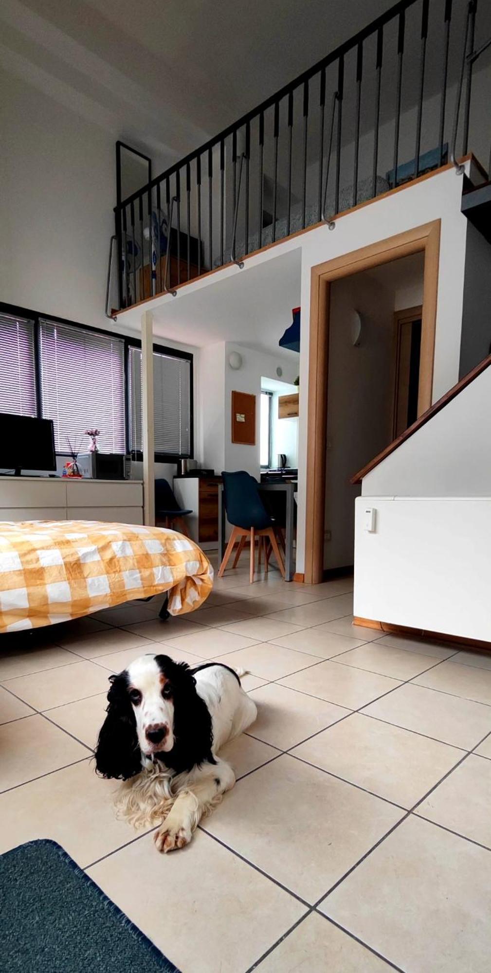 Gemme Fiorentine Apartments In Front Of The Train Station 5 Minutes From The Centre Free Parking Firenze Kültér fotó